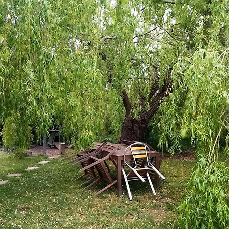 Bed & Breakfast Ancienne Ecole De Colombier Colombier (Dordogne)