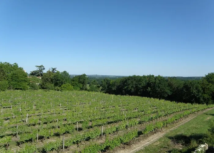 Ancienne Ecole De Colombier Bed & Breakfast Colombier (Dordogne)